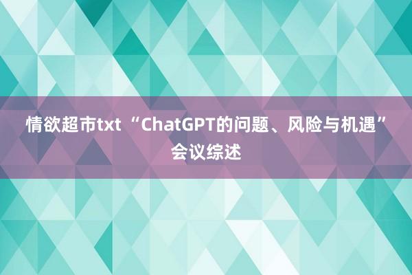 情欲超市txt “ChatGPT的问题、风险与机遇”会议综述